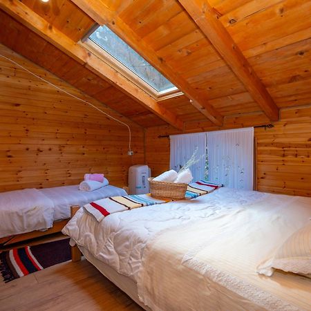 Bee Eco Guest House Moll' e Shoshit Dış mekan fotoğraf