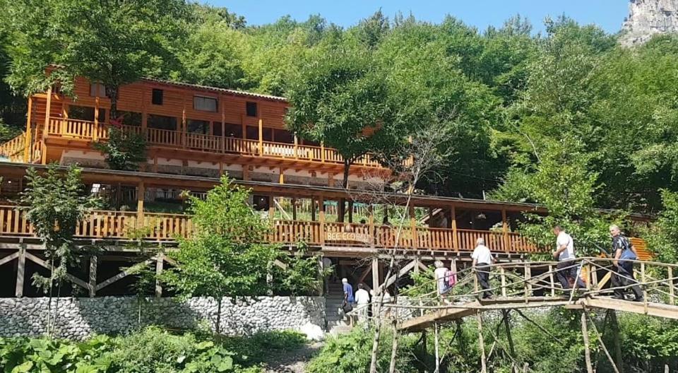 Bee Eco Guest House Moll' e Shoshit Dış mekan fotoğraf