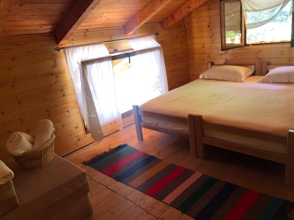 Bee Eco Guest House Moll' e Shoshit Dış mekan fotoğraf