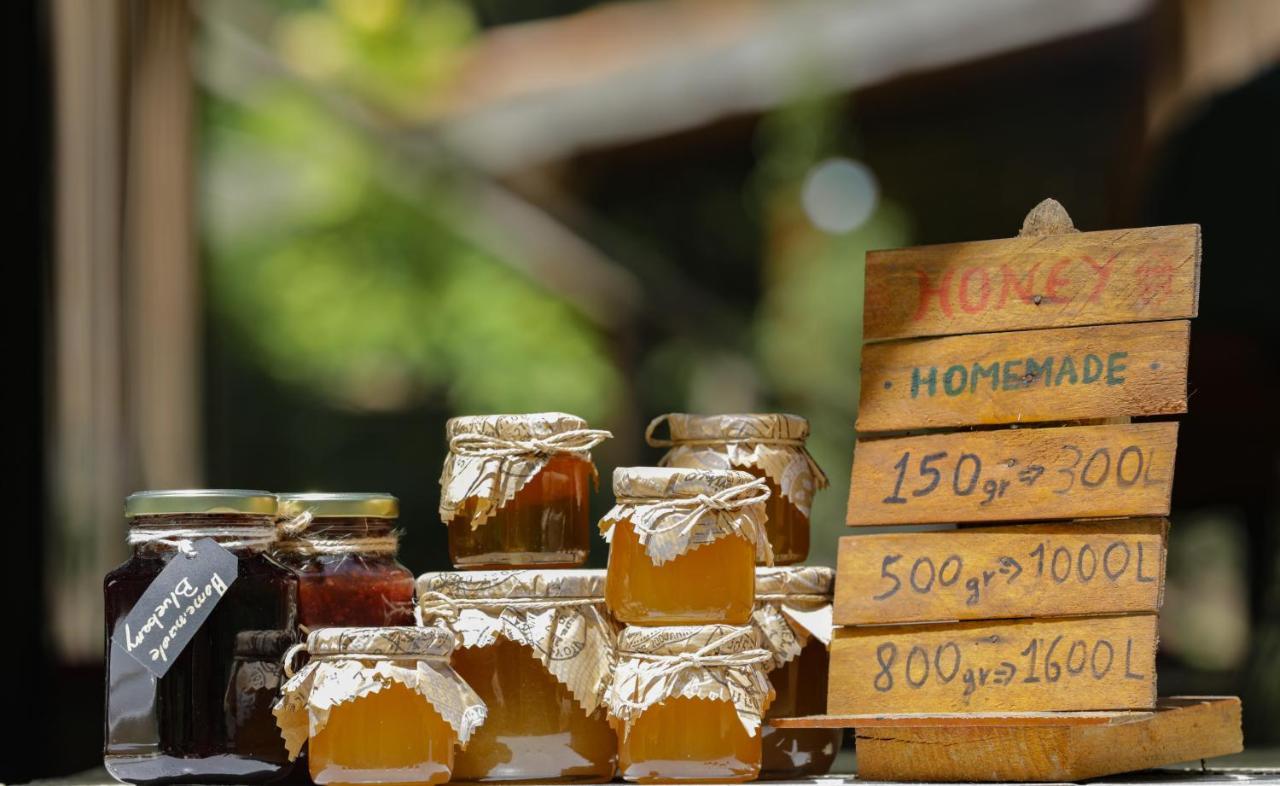 Bee Eco Guest House Moll' e Shoshit Dış mekan fotoğraf