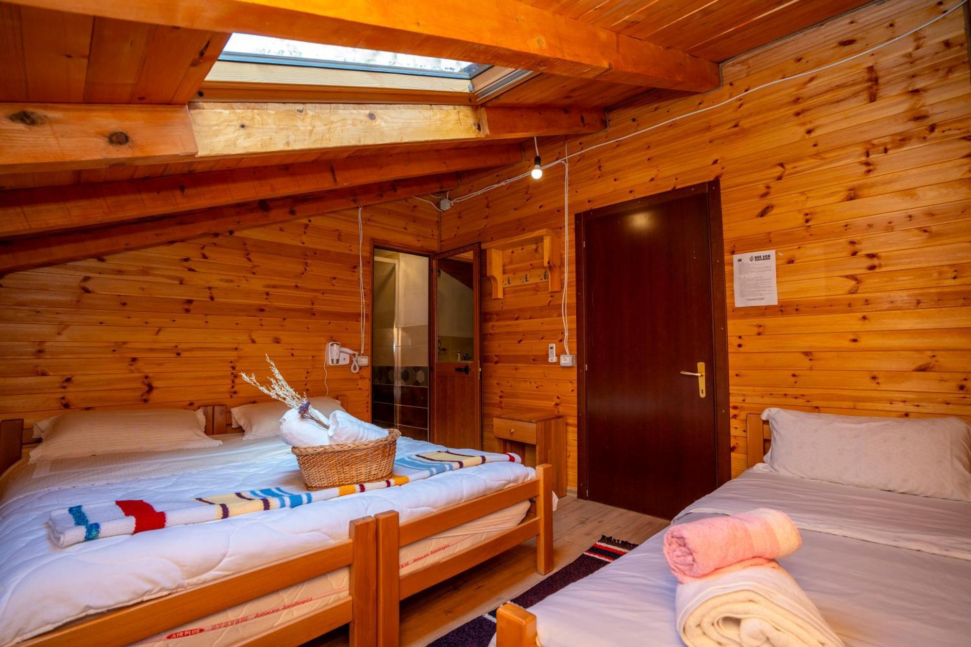 Bee Eco Guest House Moll' e Shoshit Dış mekan fotoğraf