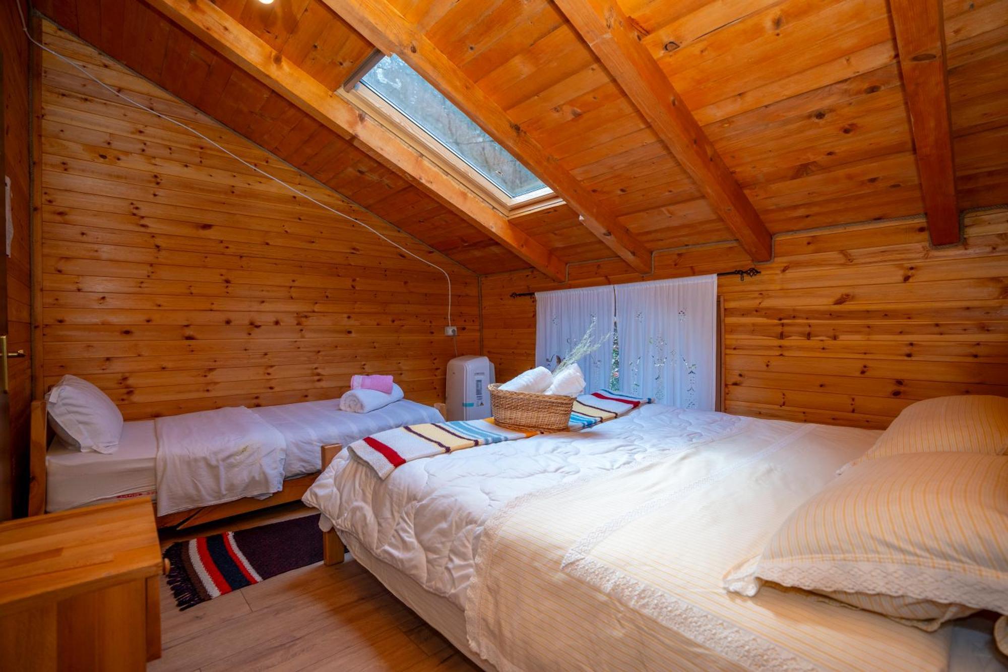 Bee Eco Guest House Moll' e Shoshit Dış mekan fotoğraf