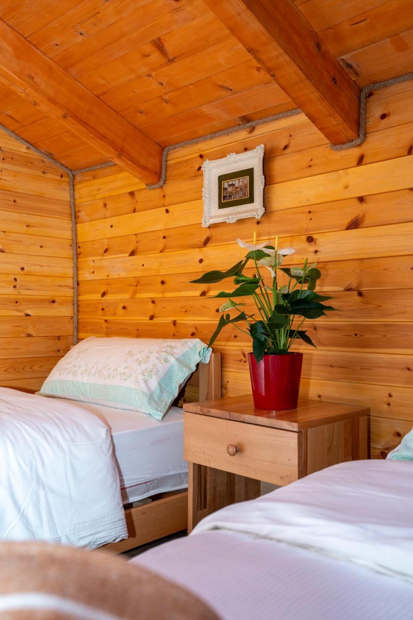 Bee Eco Guest House Moll' e Shoshit Dış mekan fotoğraf