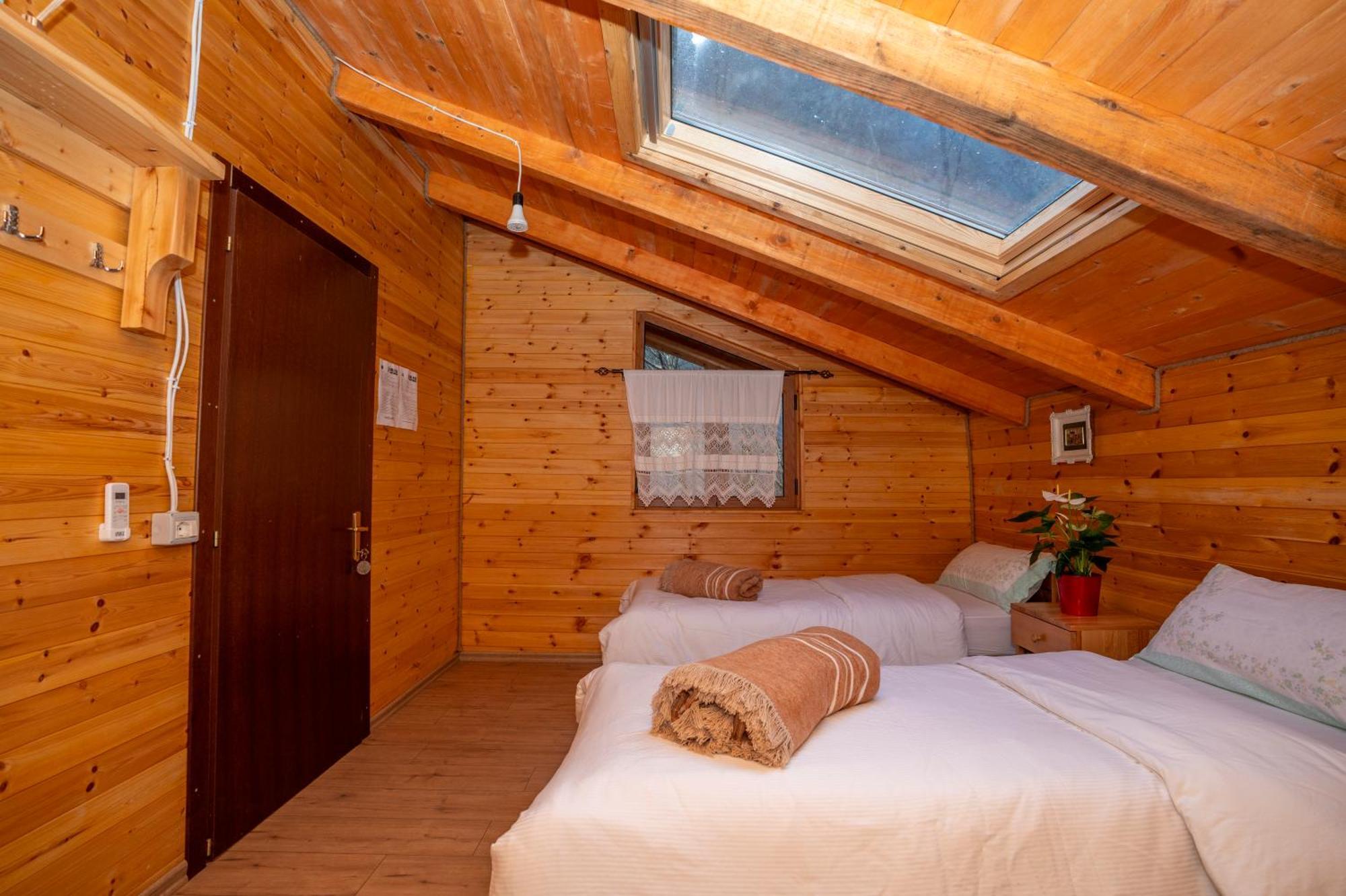 Bee Eco Guest House Moll' e Shoshit Dış mekan fotoğraf