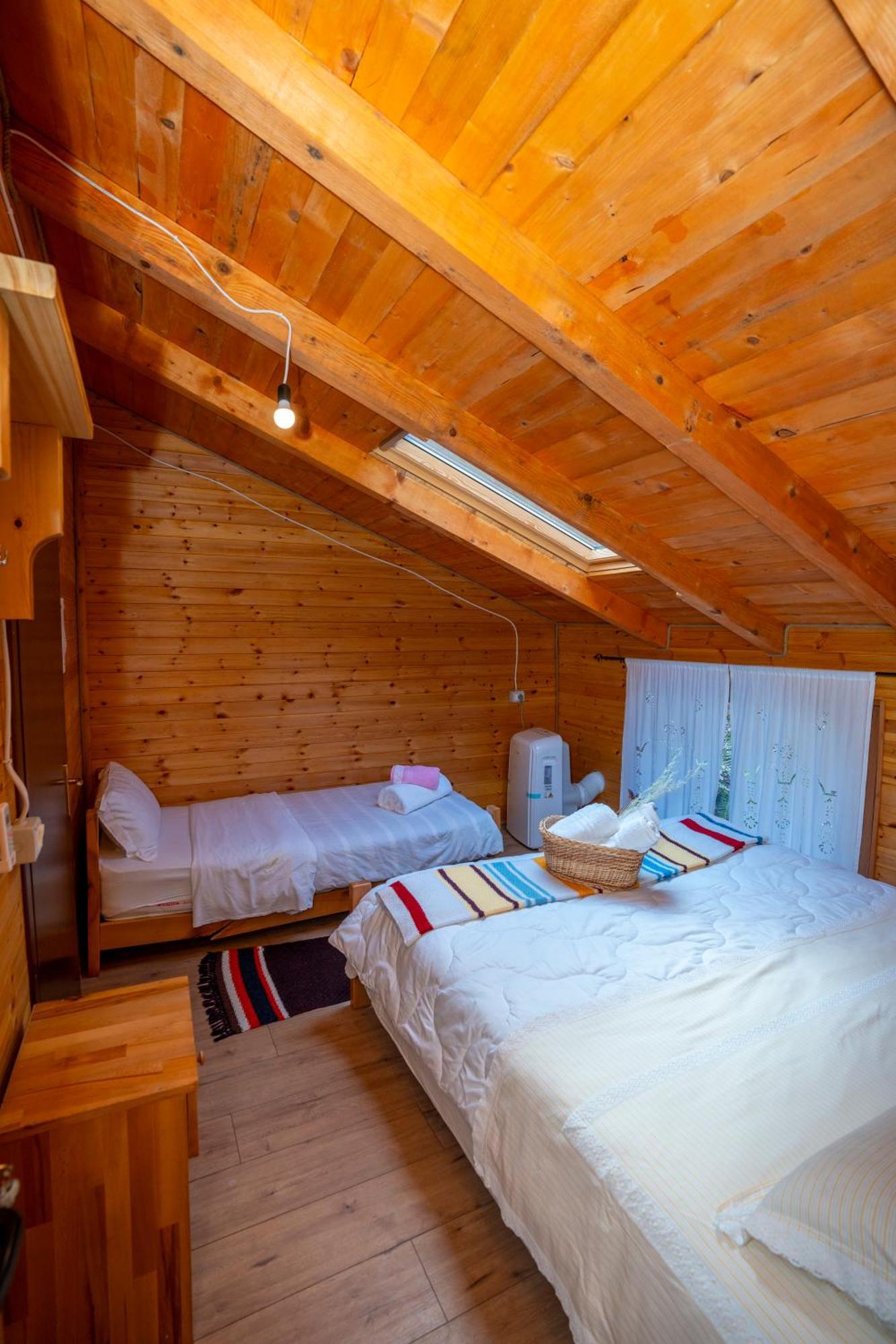 Bee Eco Guest House Moll' e Shoshit Dış mekan fotoğraf