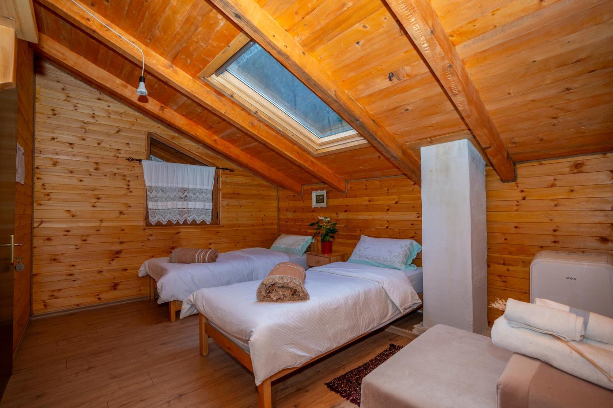 Bee Eco Guest House Moll' e Shoshit Dış mekan fotoğraf