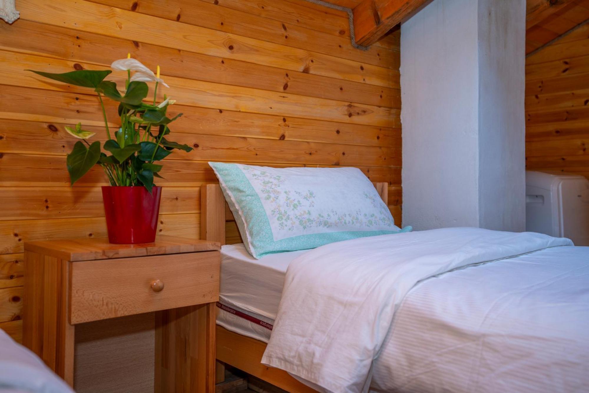 Bee Eco Guest House Moll' e Shoshit Dış mekan fotoğraf